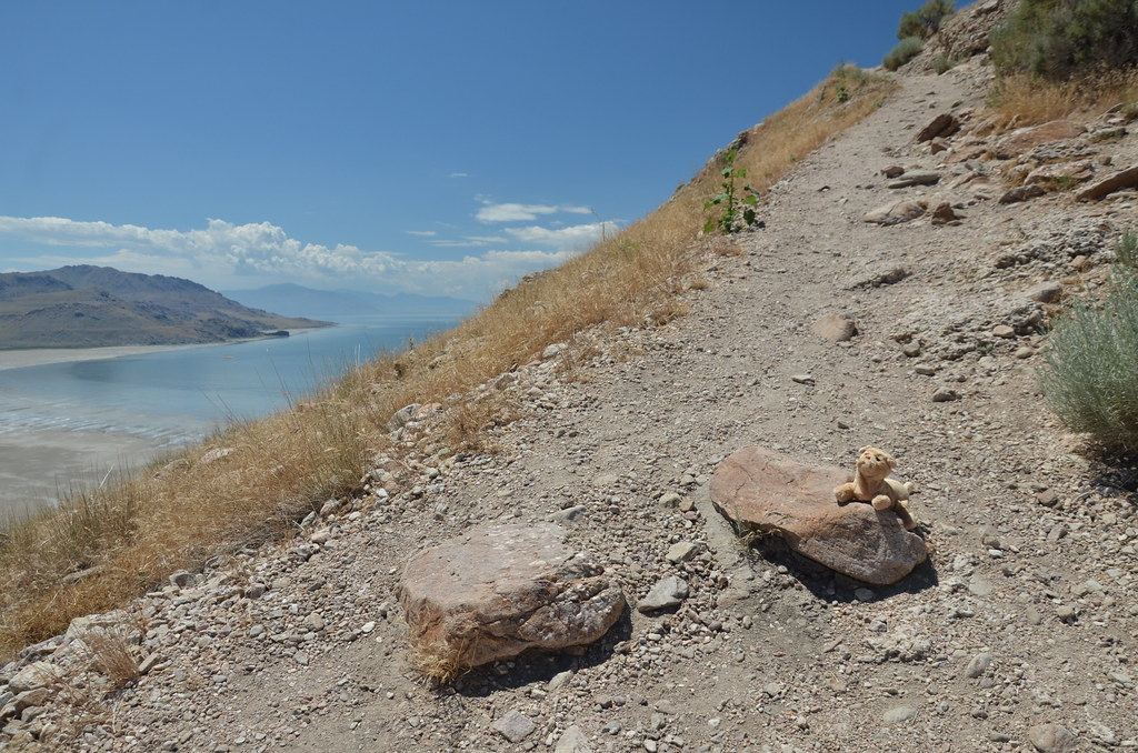 Antelope Island 178