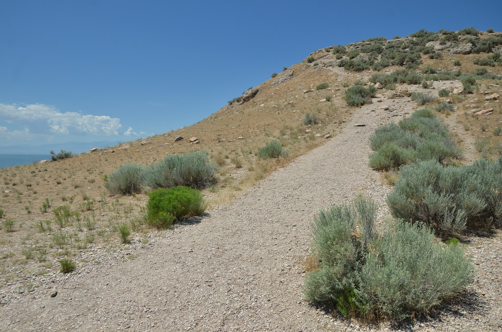 Antelope Island 175