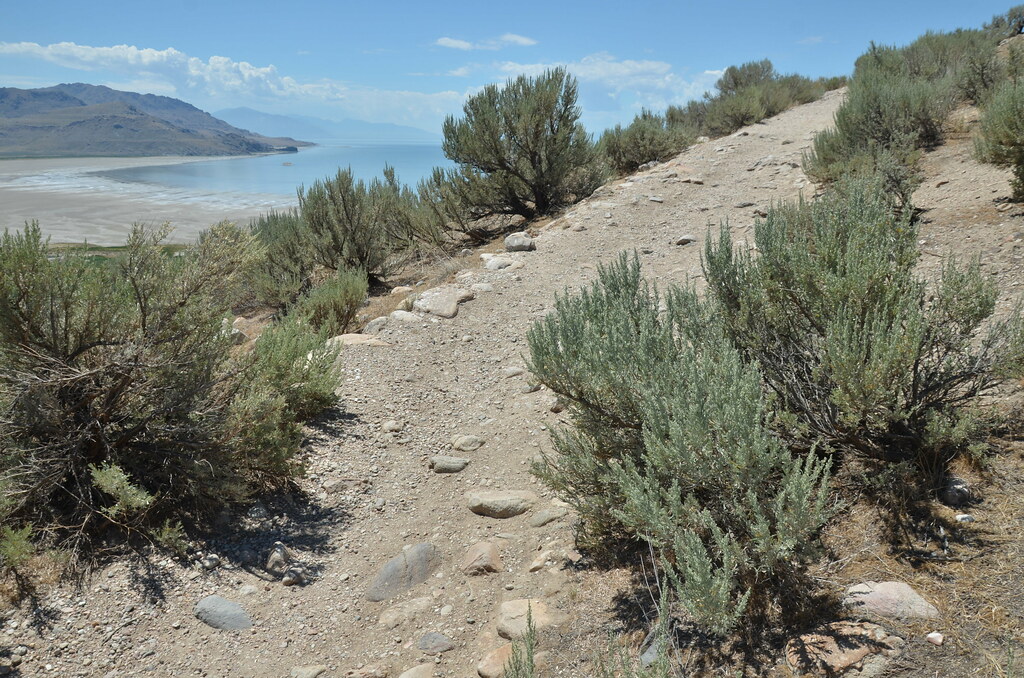 Antelope Island 148
