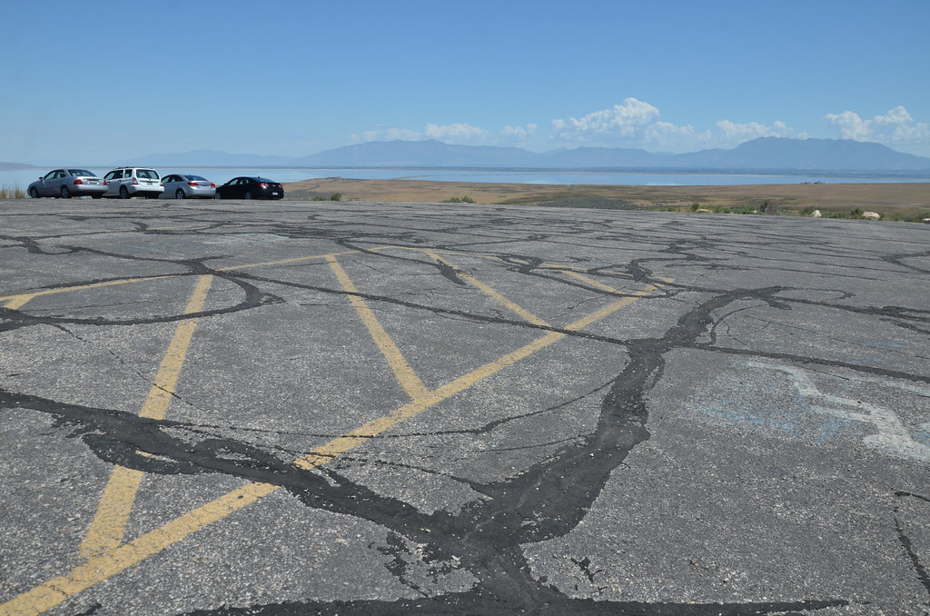 Antelope Island 146
