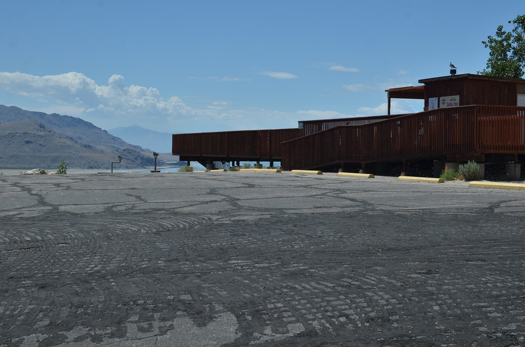 Antelope Island 144