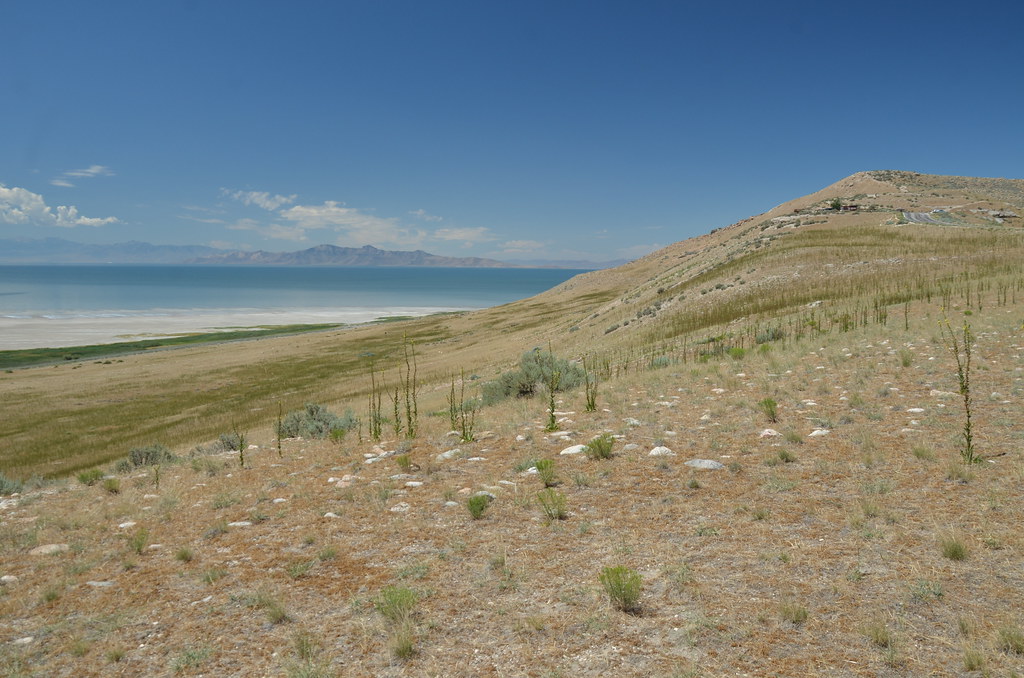 Antelope Island 139