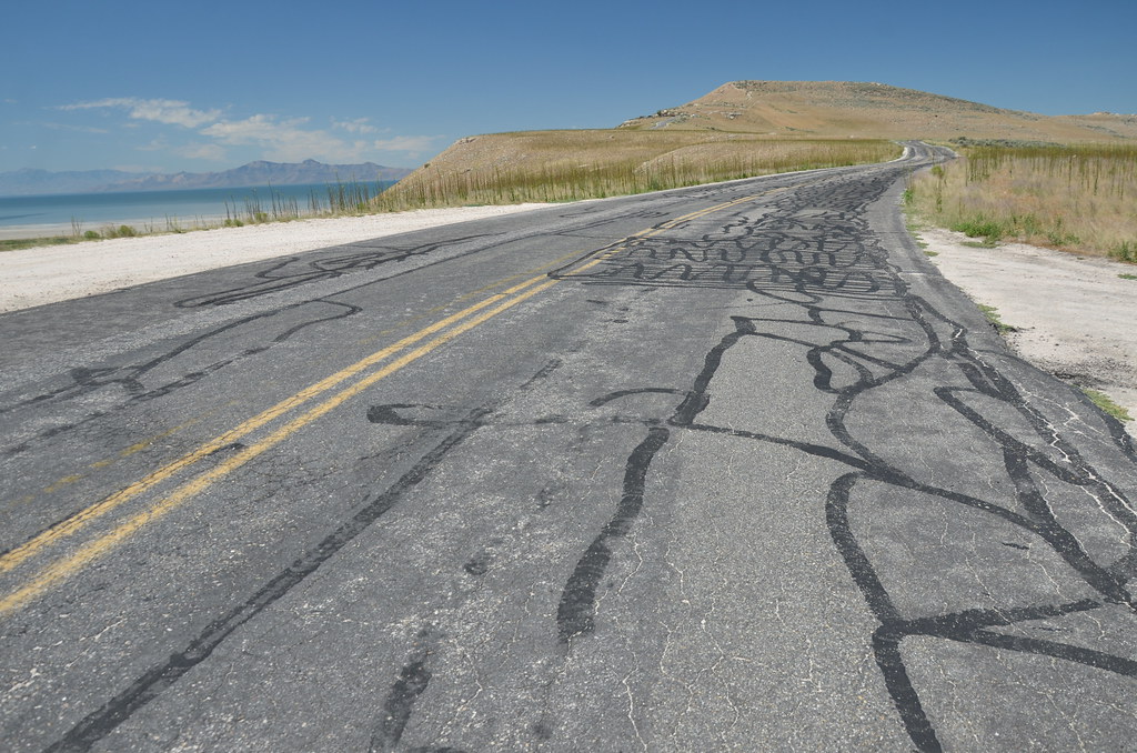 Antelope Island 131
