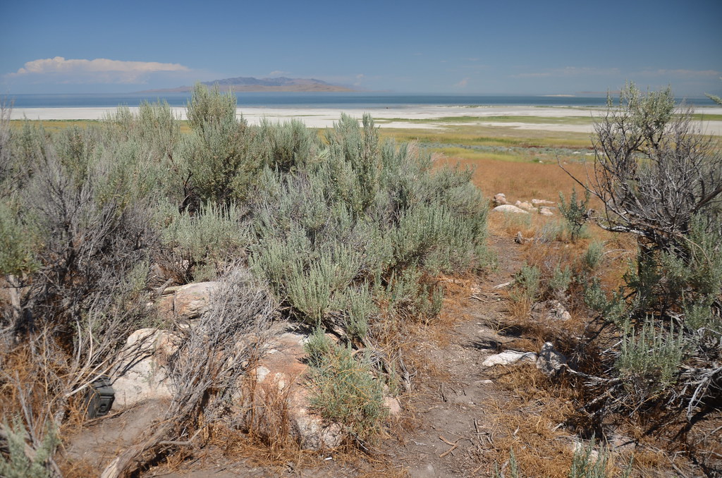 Antelope Island 115
