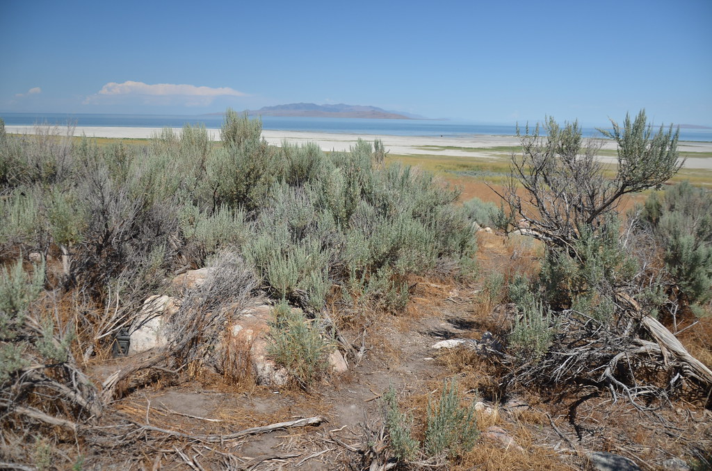 Antelope Island 110