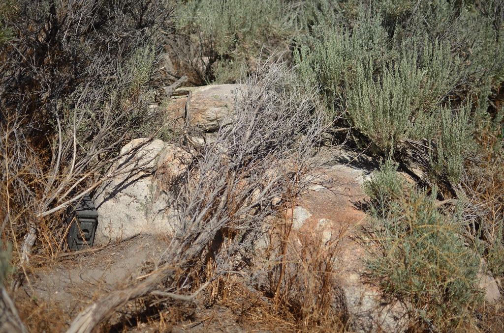 Antelope Island 109