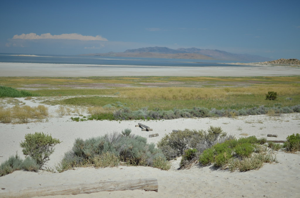 Antelope Island 099