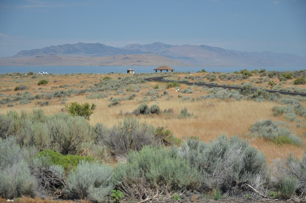 Antelope Island 089