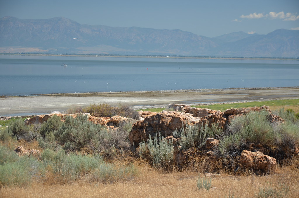Antelope Island 084