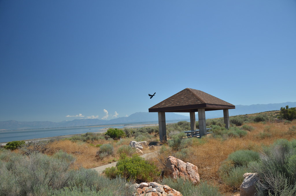 Antelope Island 080