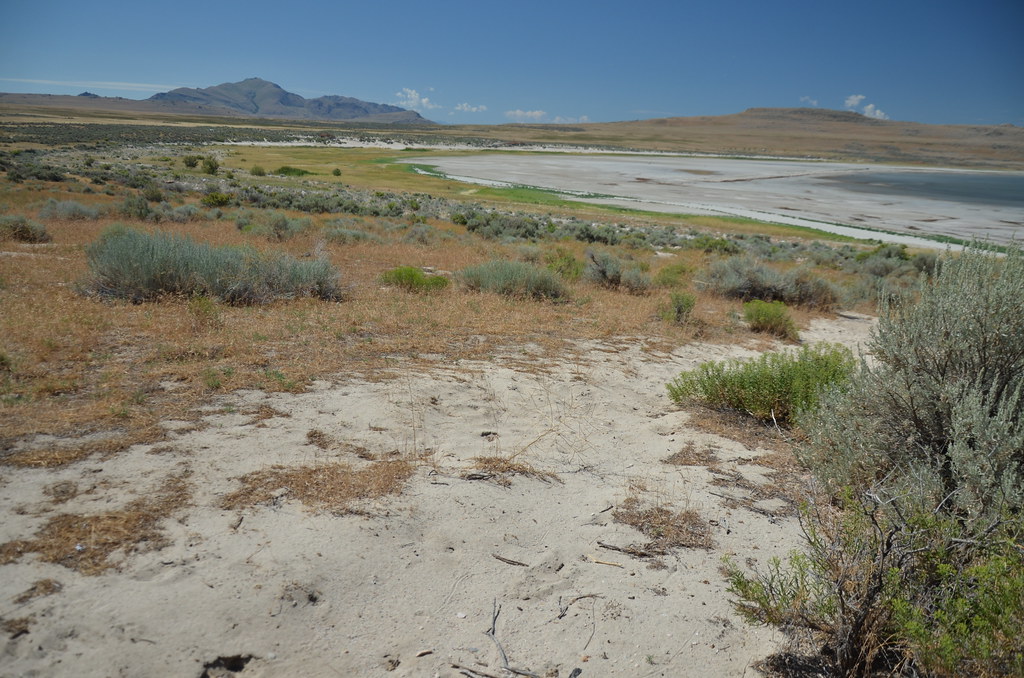 Antelope Island 076