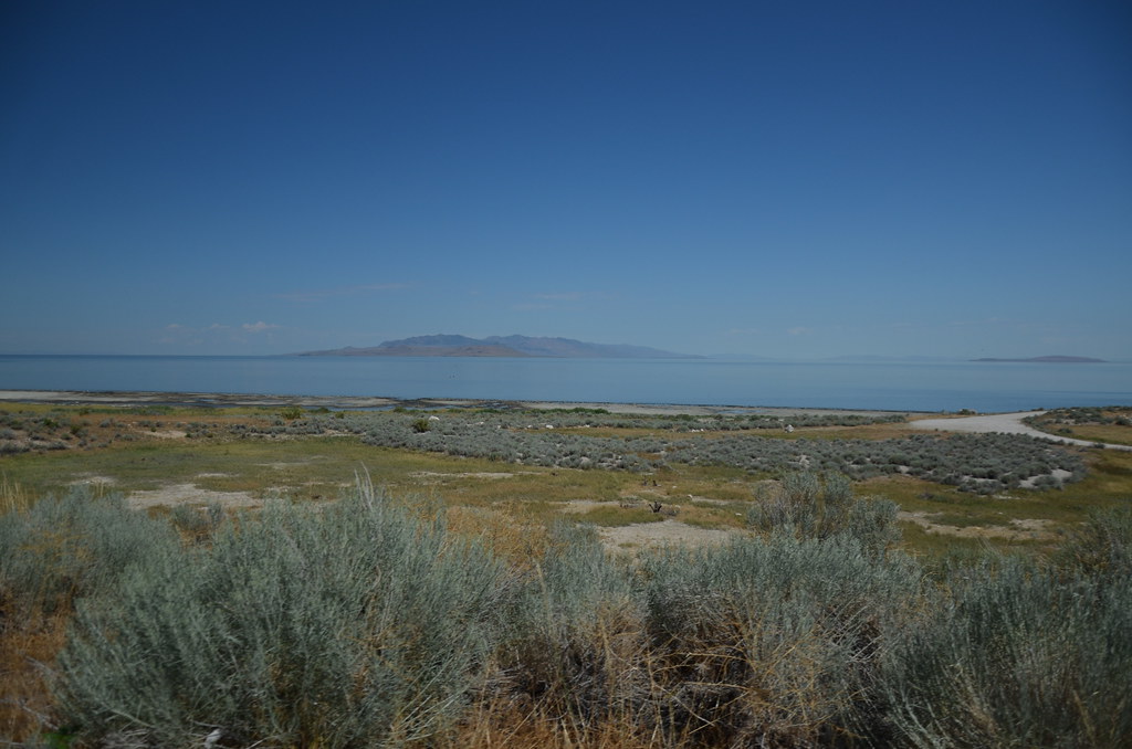 Antelope Island 073