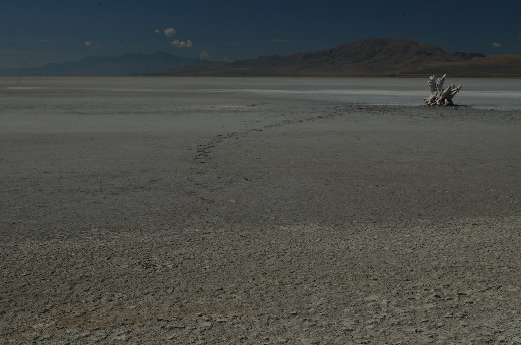 Antelope Island 055