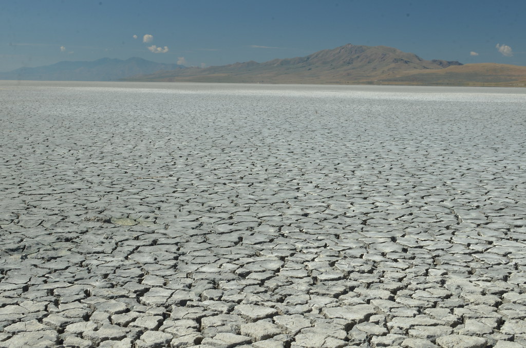 Antelope Island 053