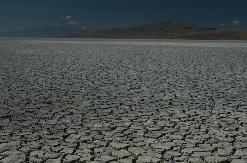 Antelope Island 052