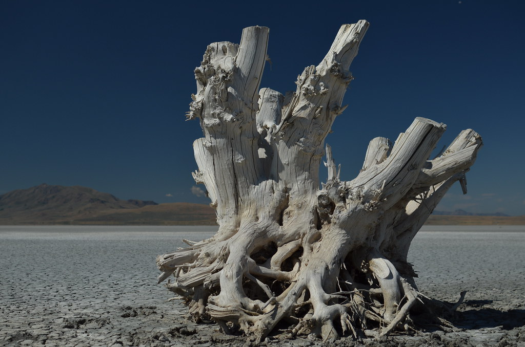 Antelope Island 025