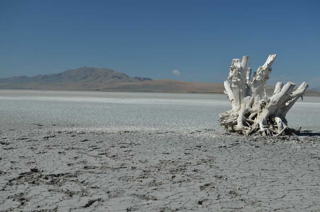 Antelope Island 019