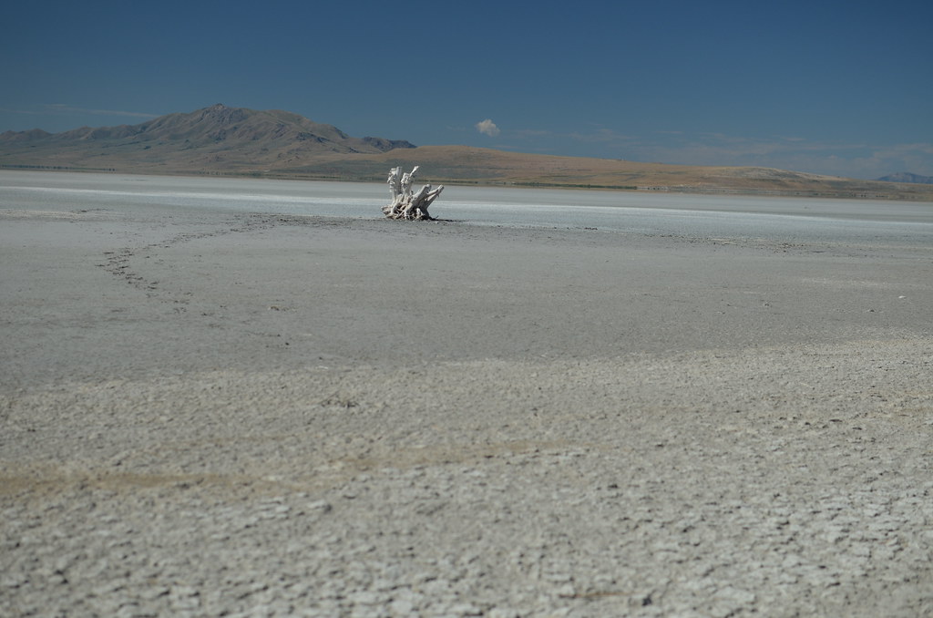 Antelope Island 017