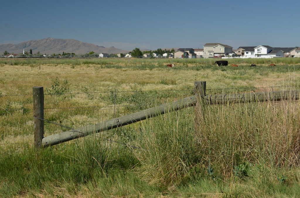 Antelope Island 006