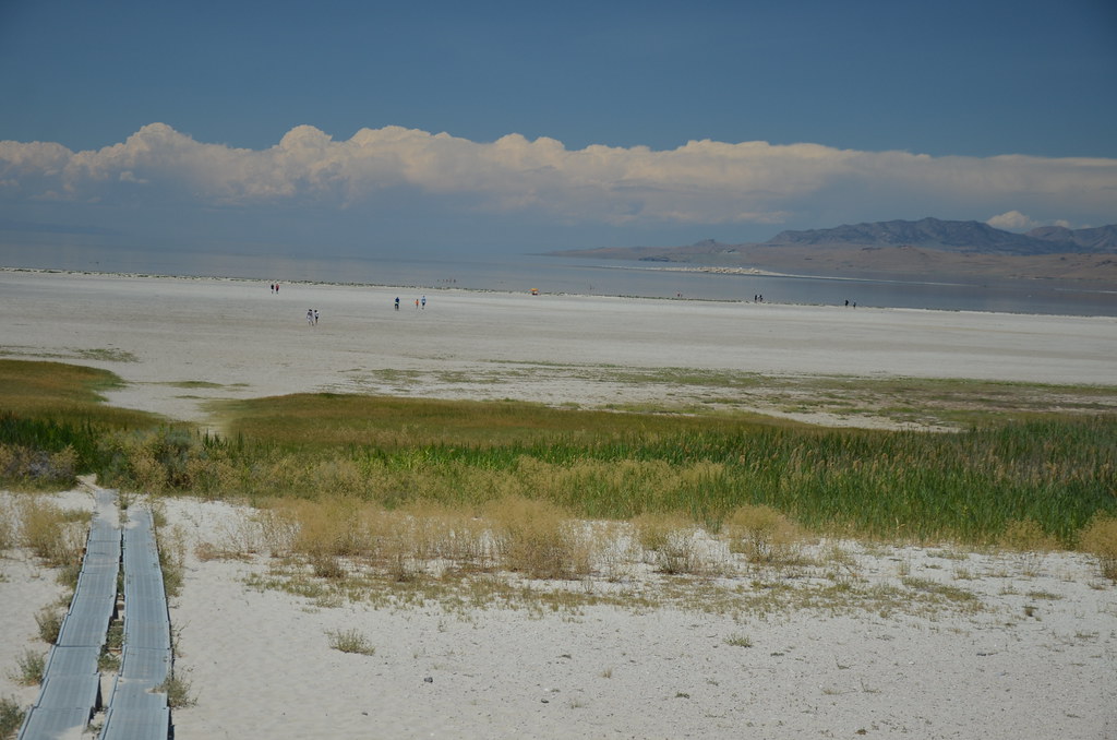 Antelope Island 340