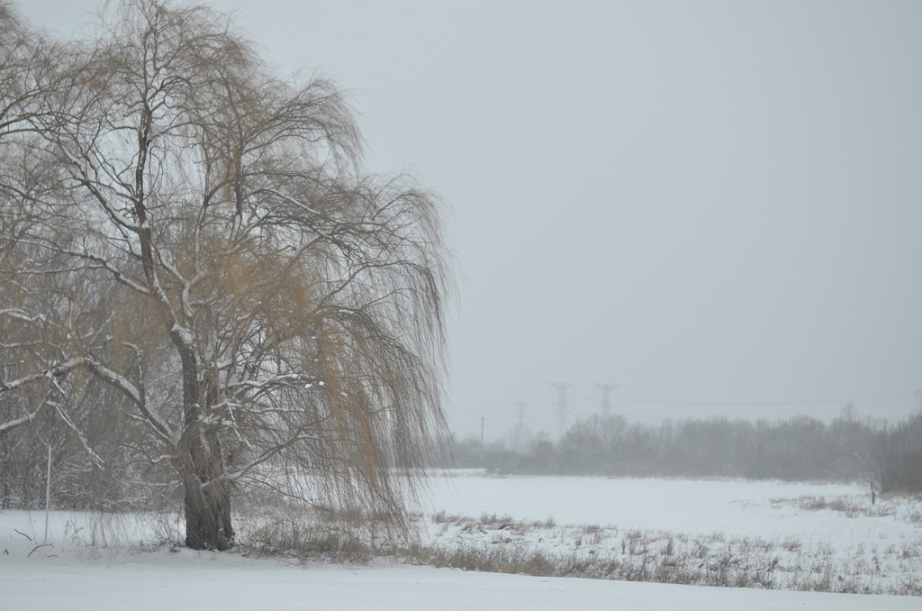 Snow Storm 706