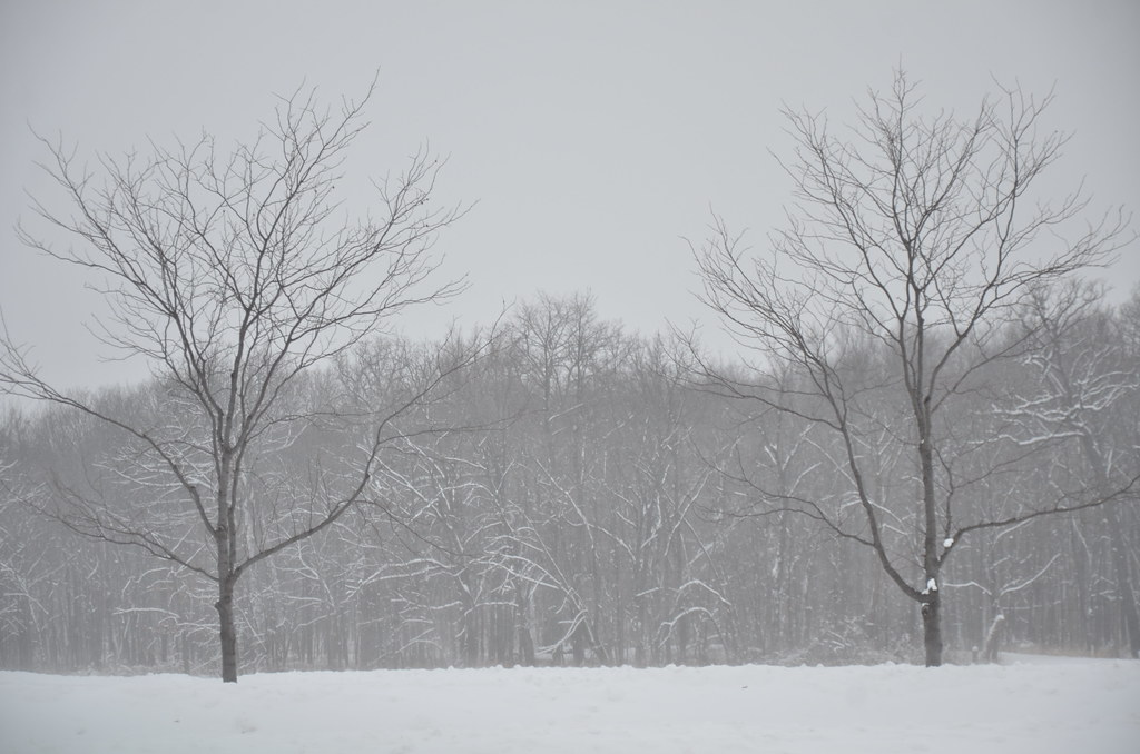 Snow Storm 577