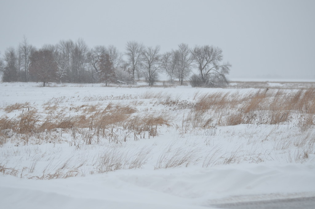 Snow Storm 693