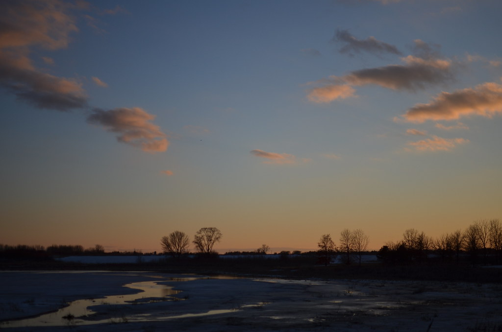 Fermilab Campus 217