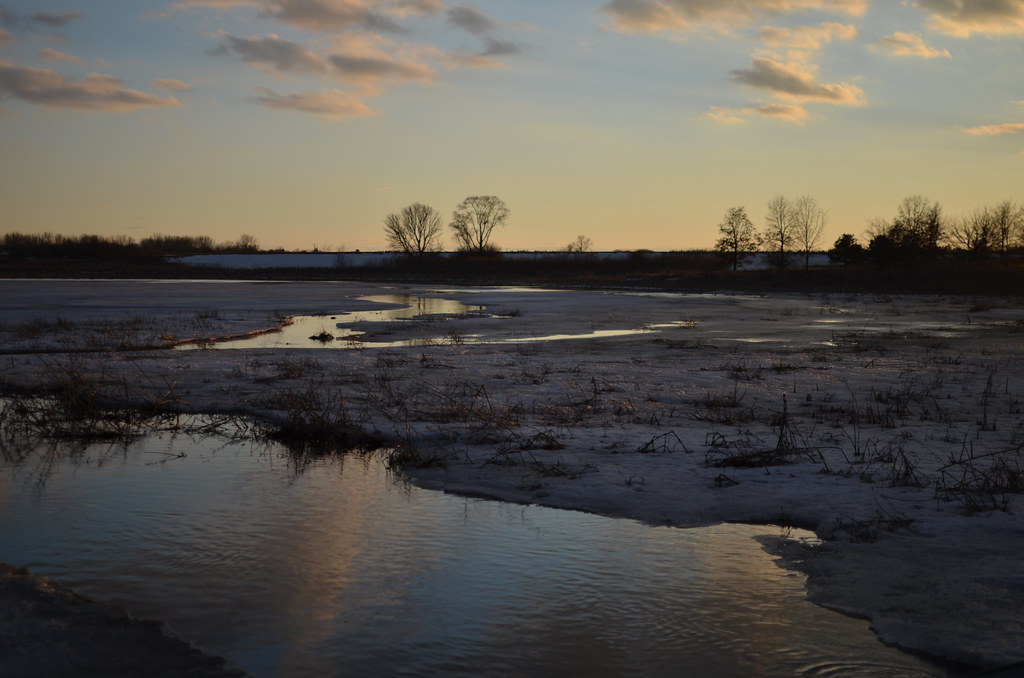 Fermilab Campus 136