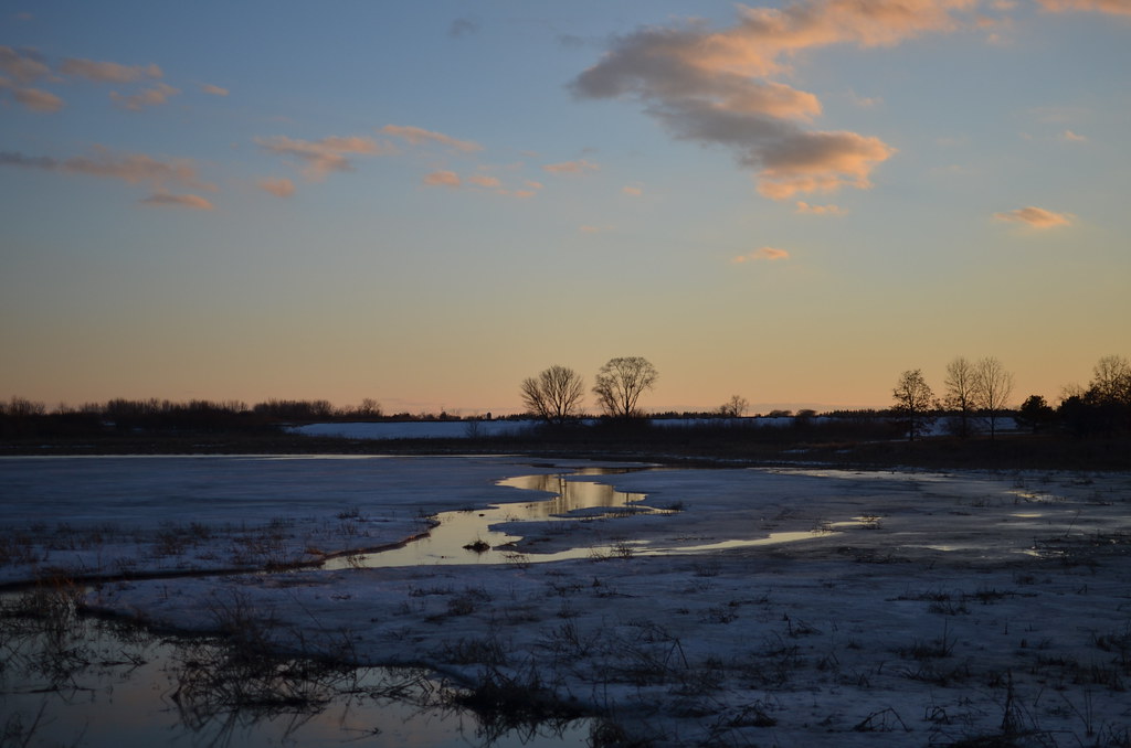 Fermilab Campus 199