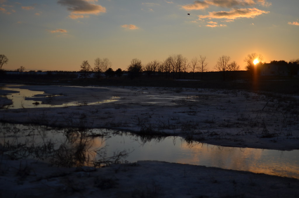 Fermilab Campus 187