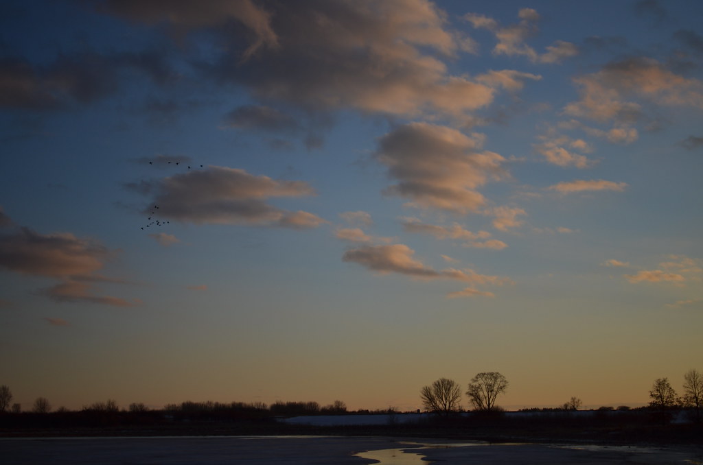Fermilab Campus 178