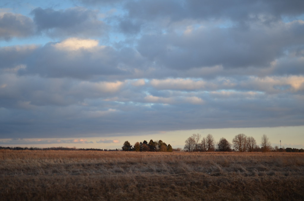 Fermilab Campus 115