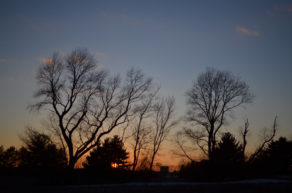 Fermilab Campus 232