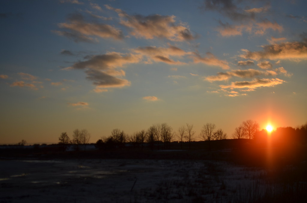 Fermilab Campus 181