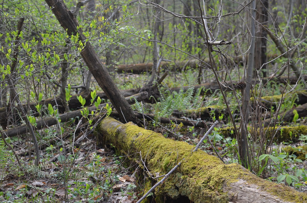 Blue Rock Ohio 057