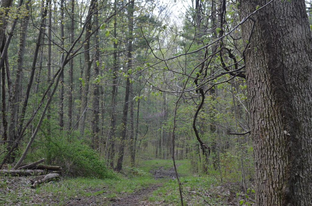 Blue Rock Ohio 037