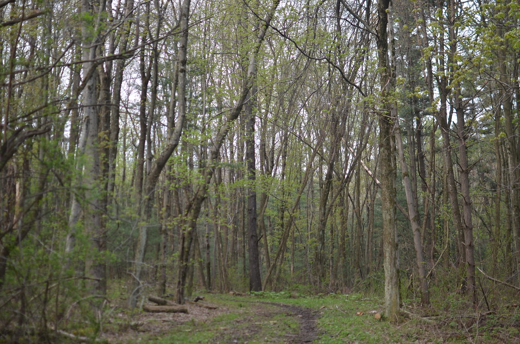 Blue Rock Ohio 032