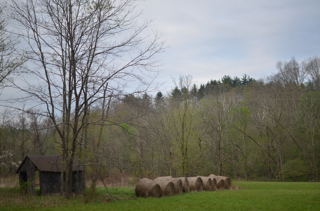 Blue Rock Ohio 027