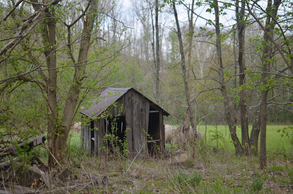 Blue Rock Ohio 018