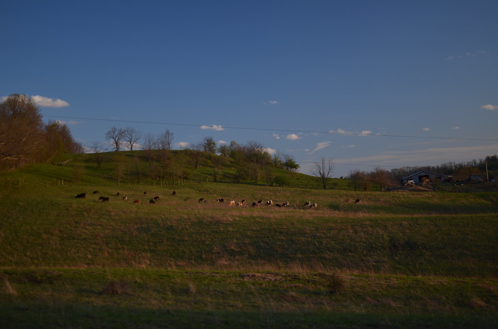 Zanesville OH 211