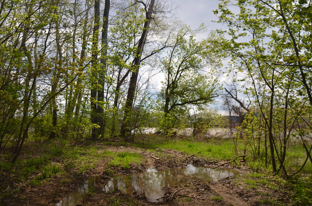 Zanesville OH 042