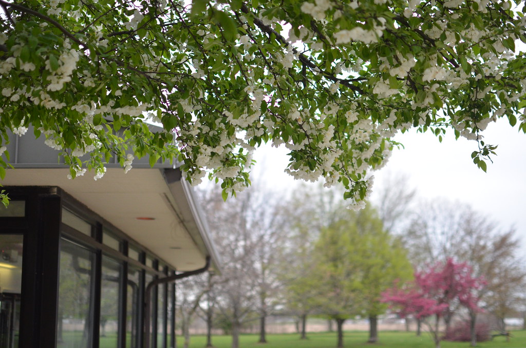 Madison Ohio Rest Stop on Interstate 70
