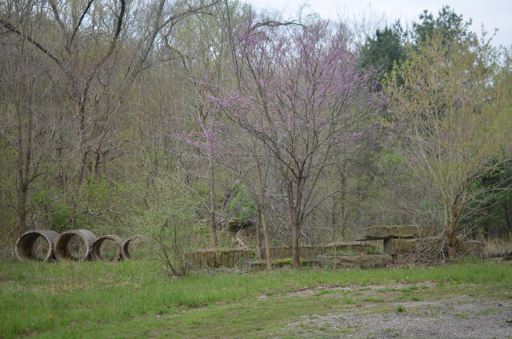 Blue Rock Ohio 030