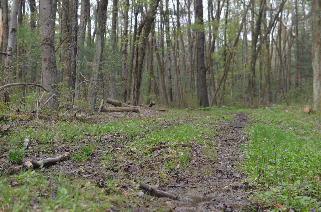 Blue Rock Ohio 033