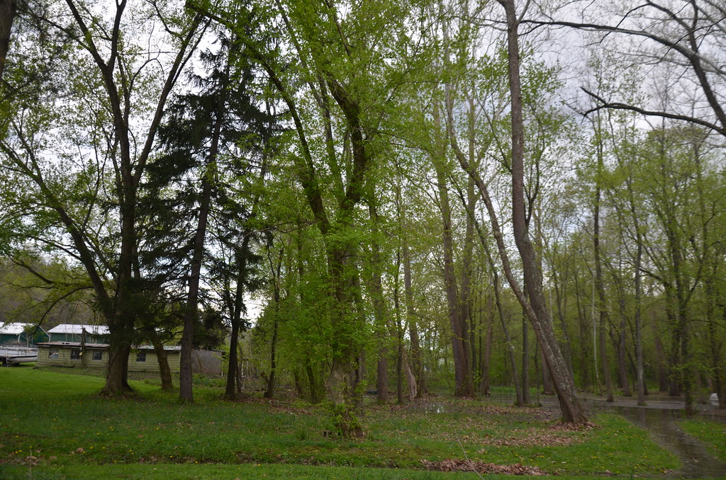 Zanesville OH 038