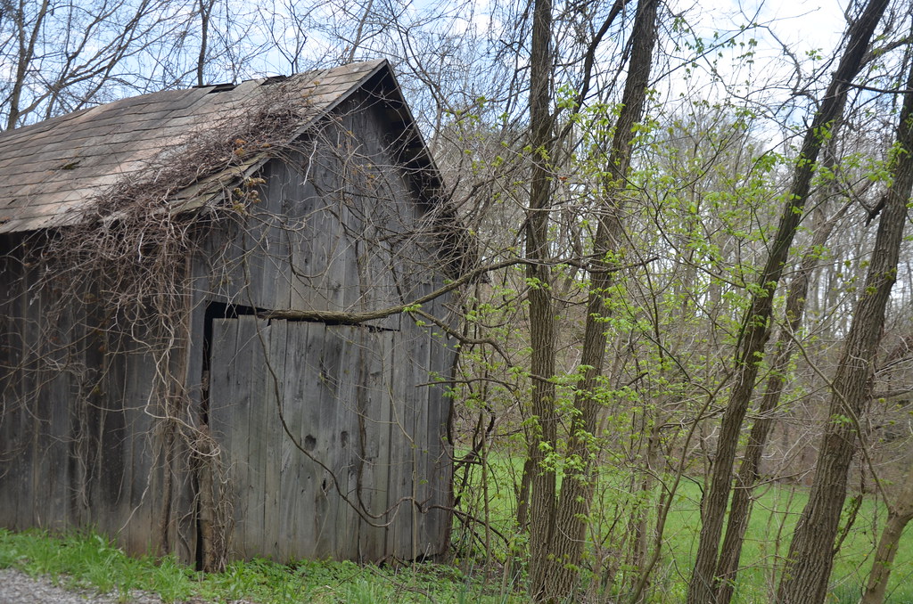 Blue Rock Ohio 168