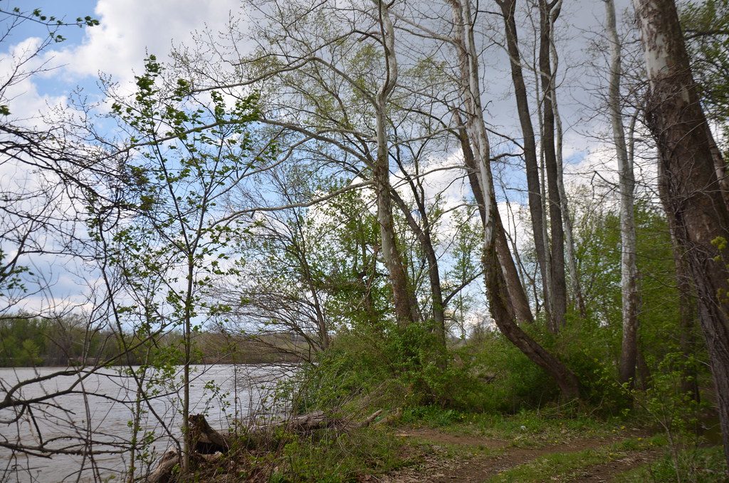 Zanesville OH 043