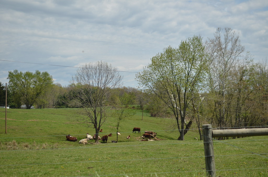 Zanesville OH 079