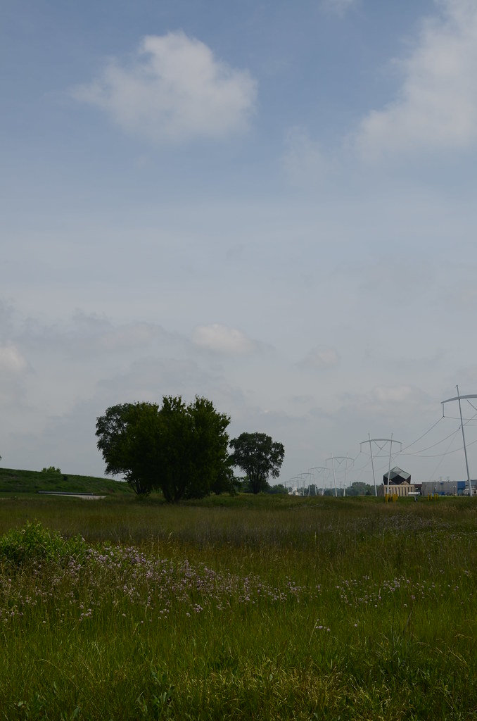 Fermilab 110